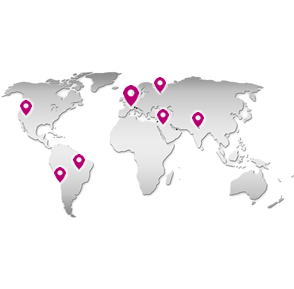 Sales network